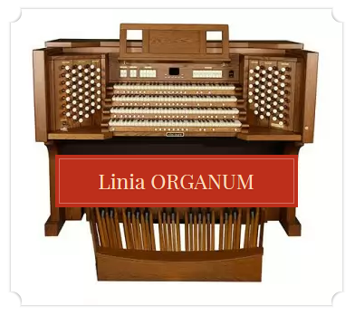 linia_organ_organum